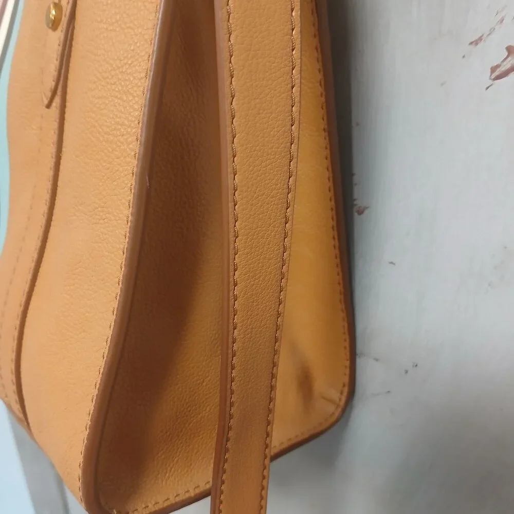 Fossil Tan Satchel with Striped Accent